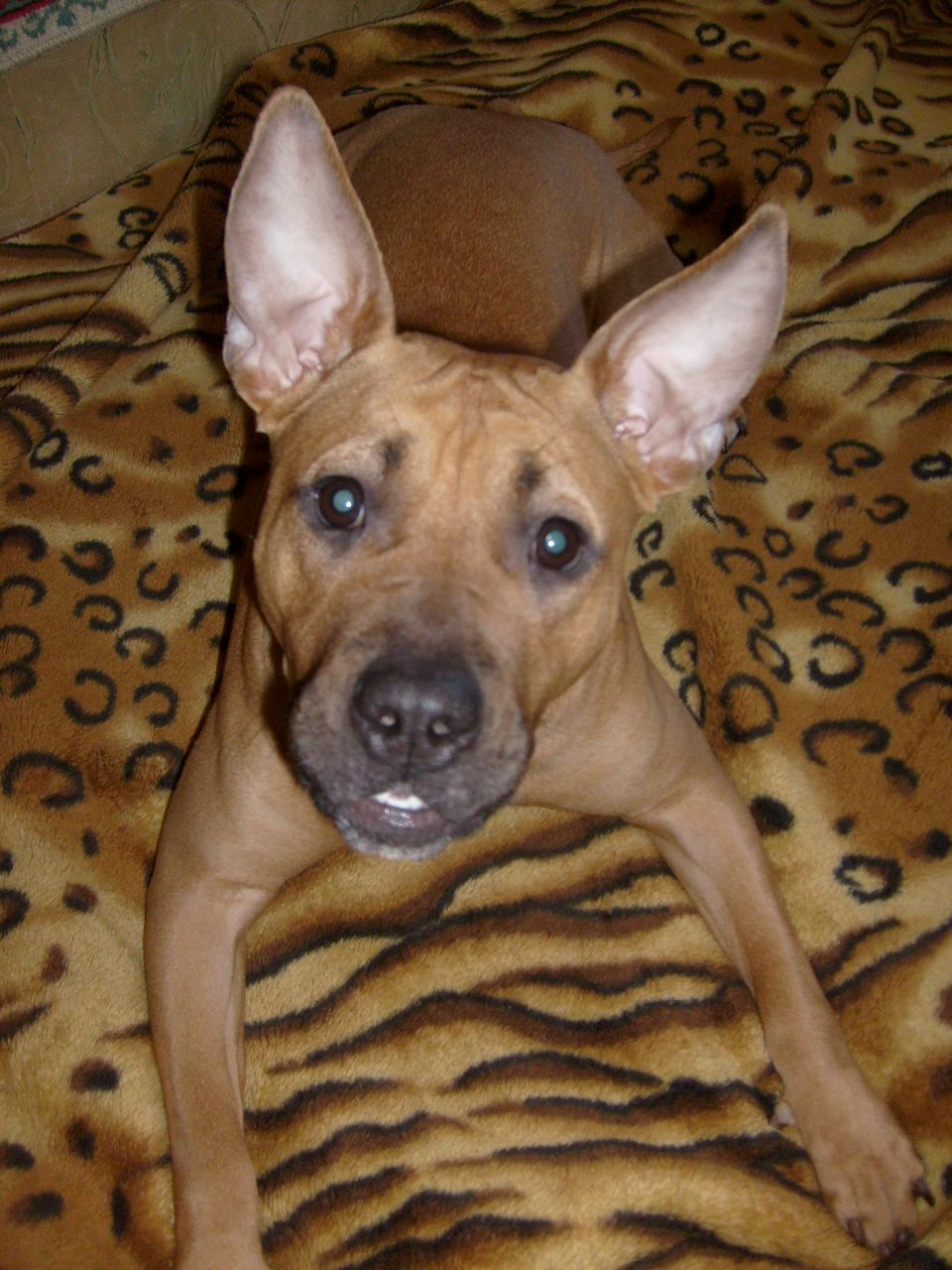 Саня Оськин | Снежногорск