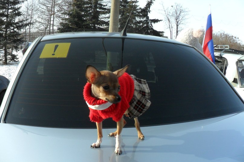 Татьяна Москалёва | Магнитогорск