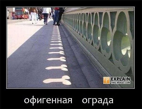 Сергей Шикунов | 
