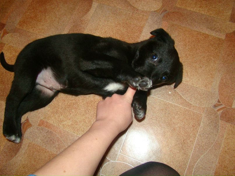 Санька Родионова | Москва