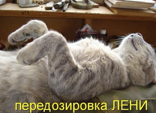 Светлана Бугрова Sonia | Сургут