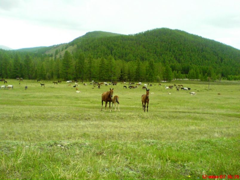 №5, Ирина Bs №5, Ирина Bs