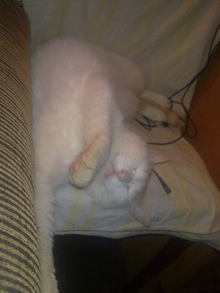 Денис Решатов | Ярославль