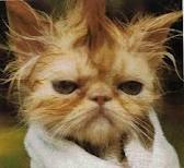 Дмитрий Приходько | Минск