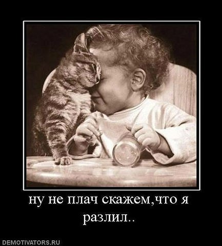 Евгения Пронина-Трифонова | Калининград