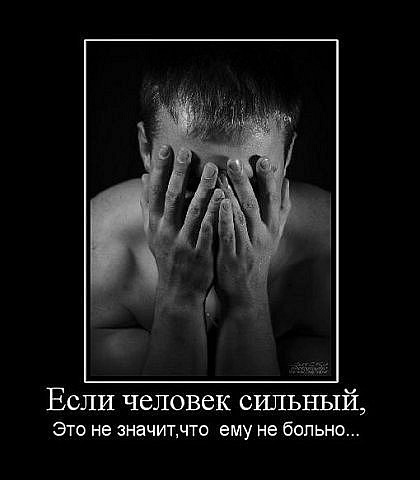 №6, Wolf Stranger №6, Wolf Stranger