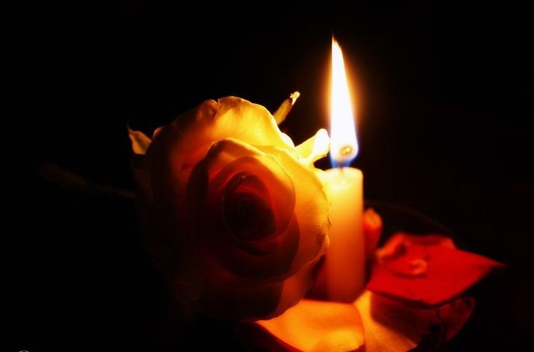 Олечка Алексеева | Санкт-Петербург