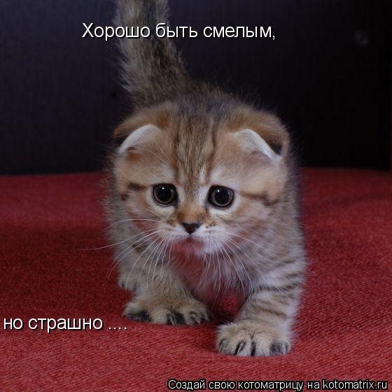 №107, Ольга Логинова, Нижний Тагил №107, Ольга Логинова, Нижний Тагил