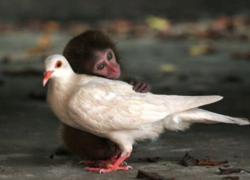 Юра Дзуцев | Санкт-Петербург