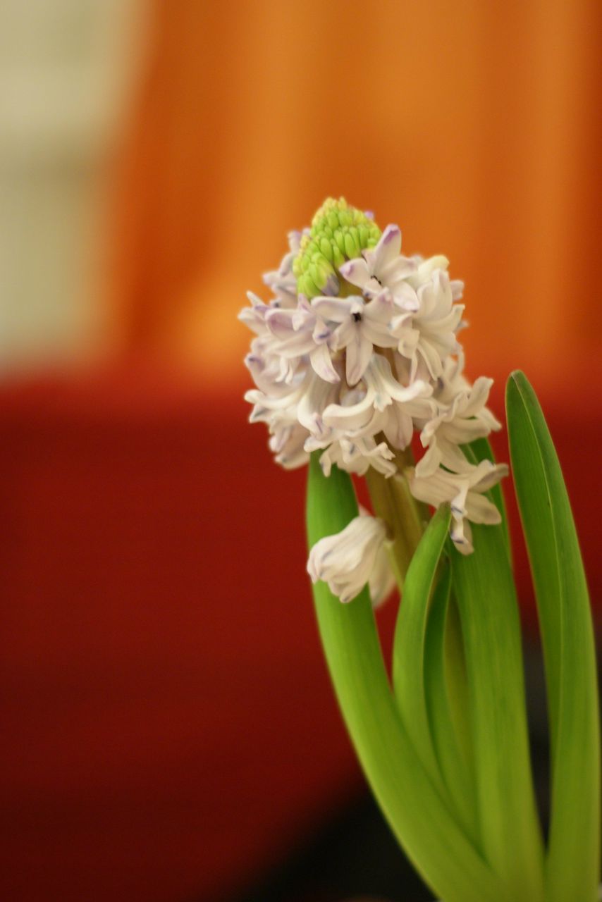 Юлия Аскерова | Москва