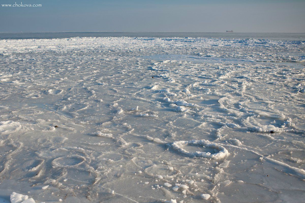 Татьяна Чокова | Одесса