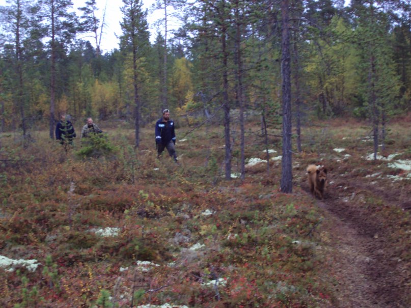 Сергей Жбанов | Мурманск