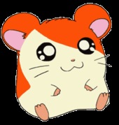 №26, Анастасия Степанюк, 30 лет, Калининск №26, Анастасия Степанюк, 30 лет, Калининск