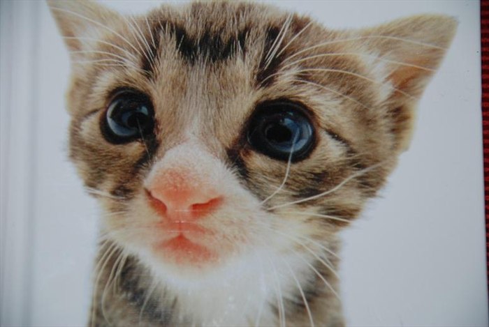 Виктория Горохова-Тенделанд | Oslo