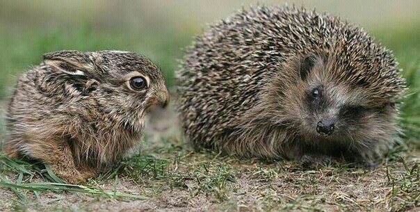 №40, Виталька Бондар, Киев №40, Виталька Бондар, Киев