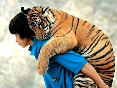 Марина Миронова (Ежевика) | Барнаул