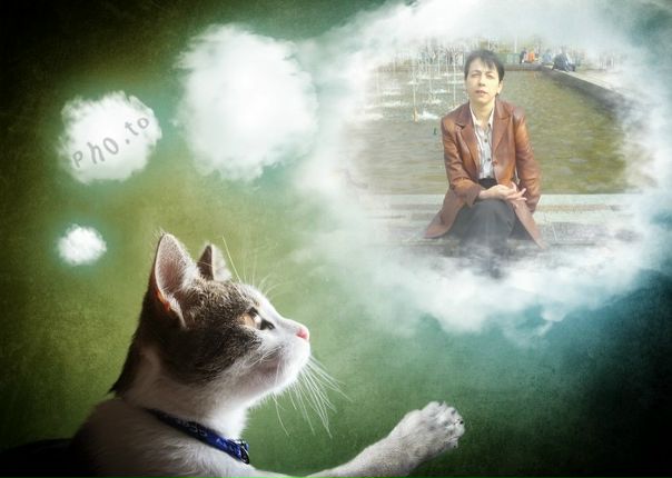 Елена ларцева схемы