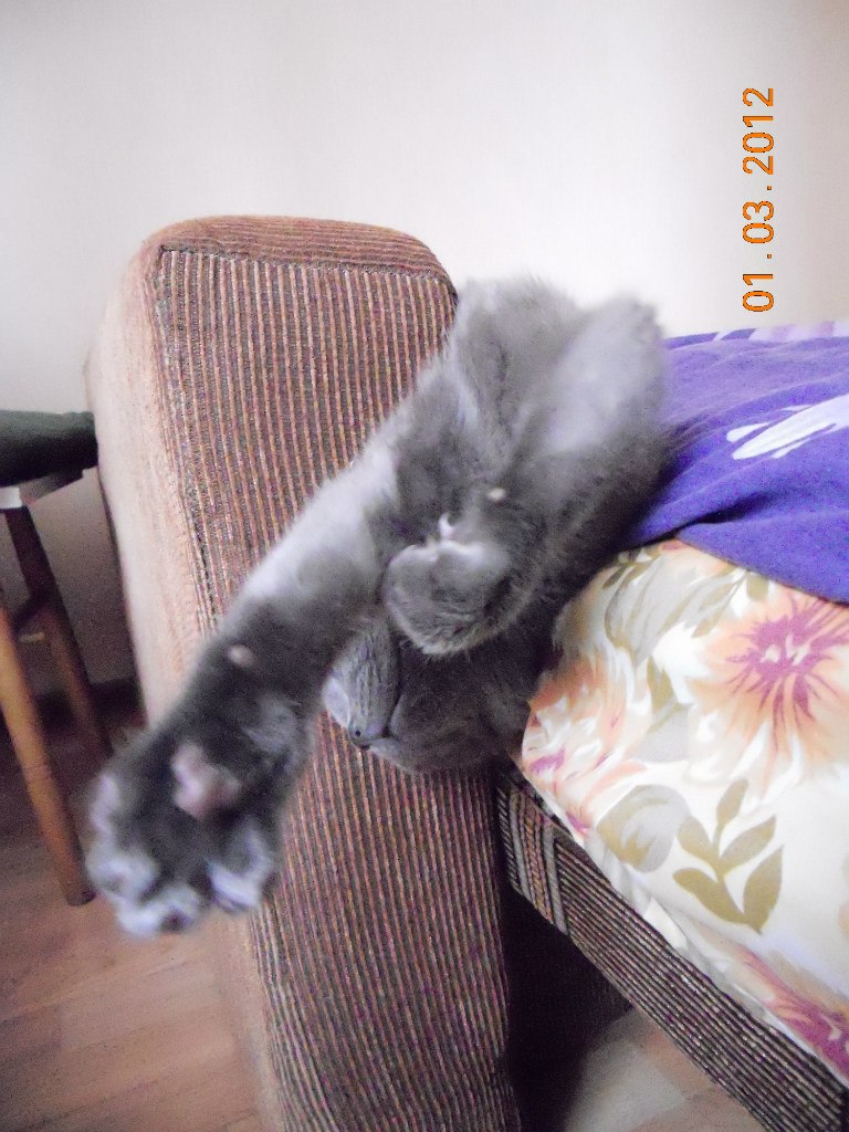 Ксения Арсеньева °•..☆ I ♥ Life ☆..•° | Щелково