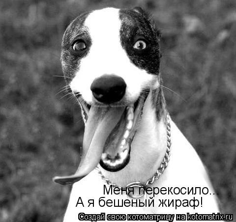 №5, Віталік Вітошко, Хмельницкий №5, Віталік Вітошко, Хмельницкий