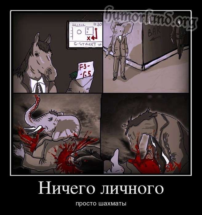 Елена Пхаладзе | Toronto