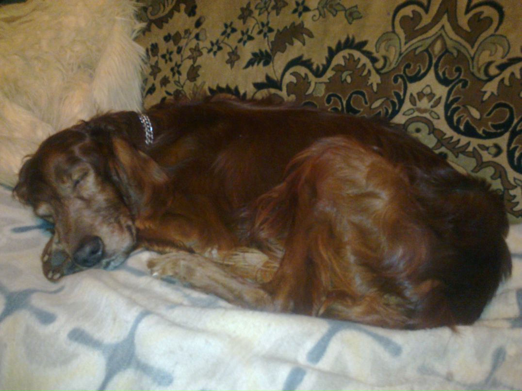 Лелька Яковлева | Москва