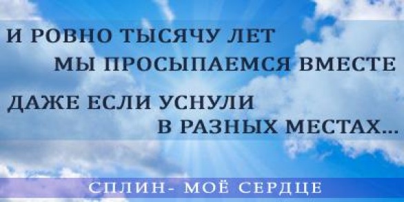 №49, Михаил Кальмучин, 31 год, Москва №49, Михаил Кальмучин, 31 год, Москва