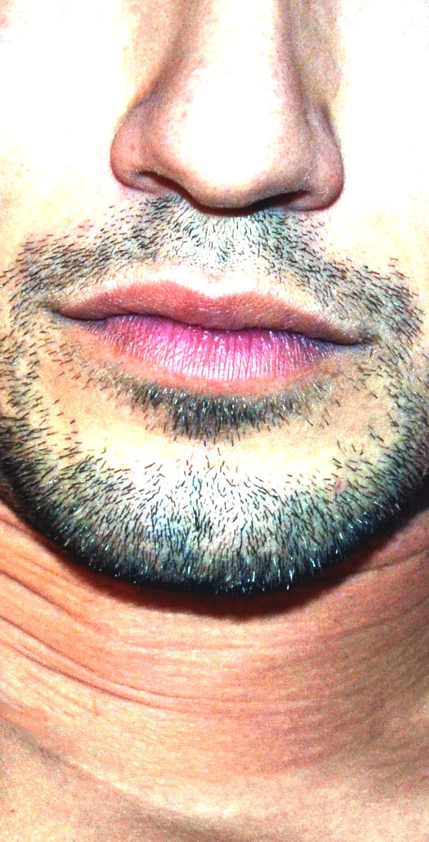 Елена Чемшит Черепашка | Тула