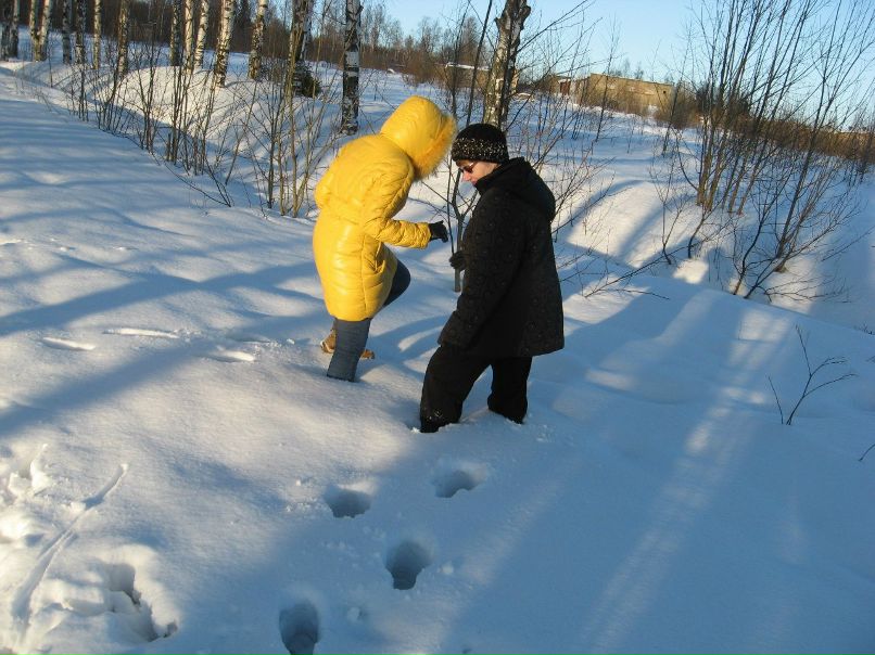 Владимир Золотарёв | Санкт-Петербург