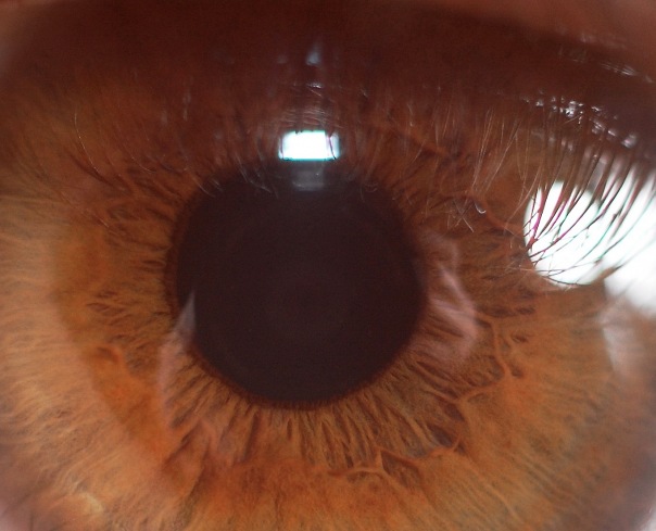 №20, Олександр Баланчук №20, Олександр Баланчук