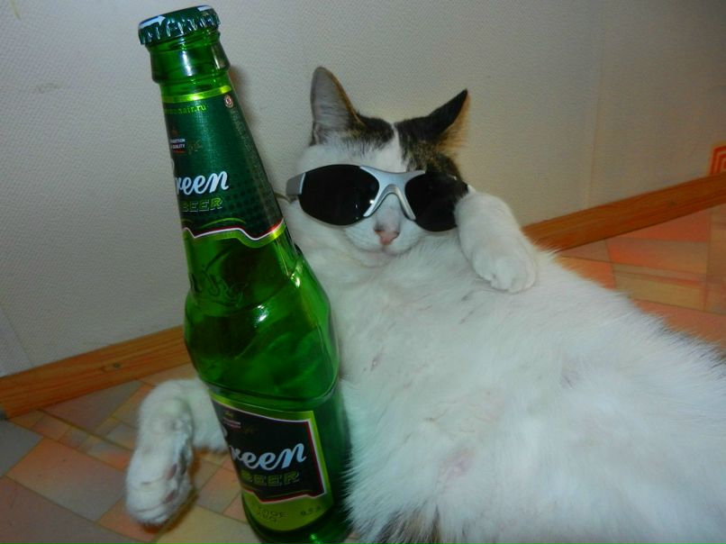 Евгений Ерошкин | Ижевск