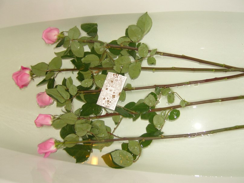 Таточка Чудинова **Angry** | Екатеринбург