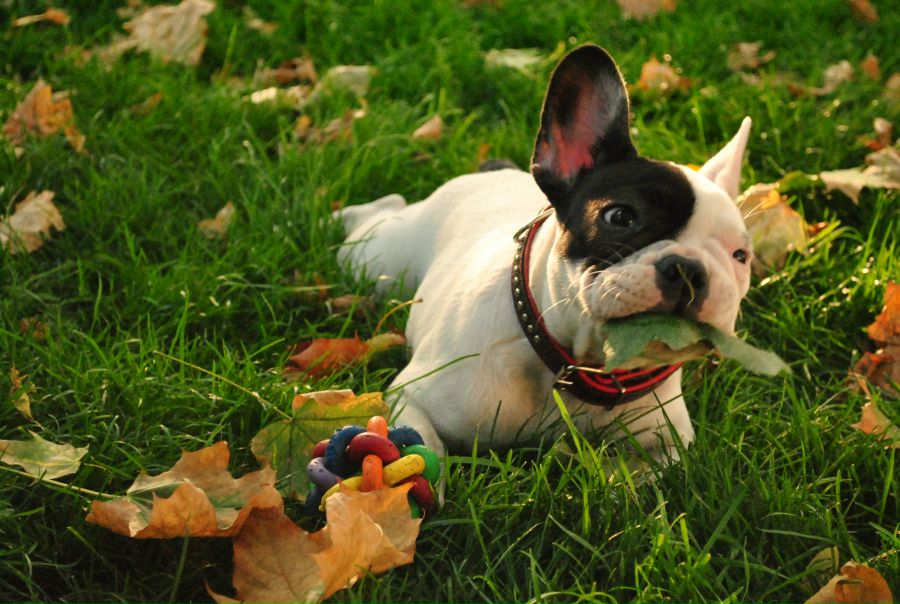 №107, Lera Kruglyak, Хайфа №107, Lera Kruglyak, Хайфа