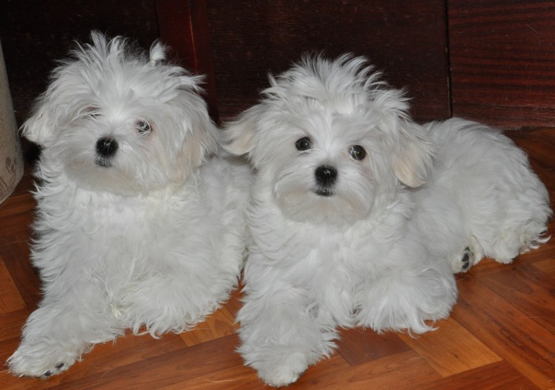 Марина Лазарева | Москва