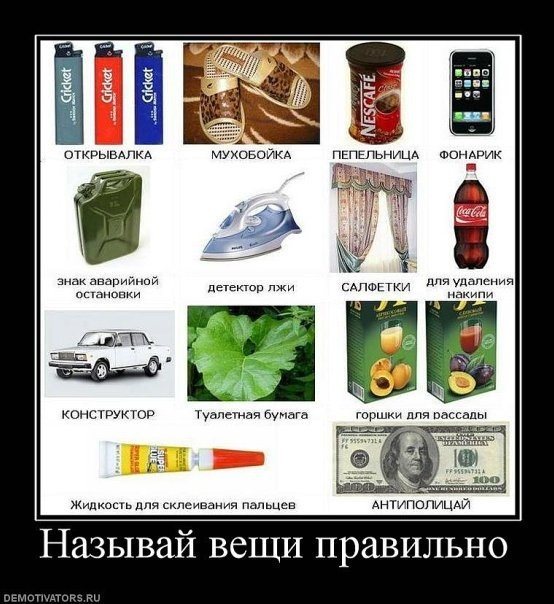 №14, Лилия Ликун №14, Лилия Ликун