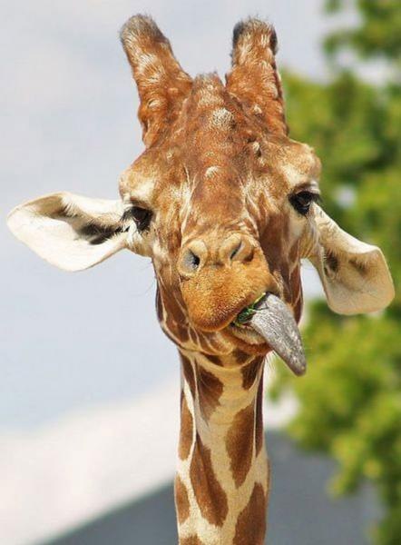 Наташа Деменцова | Москва