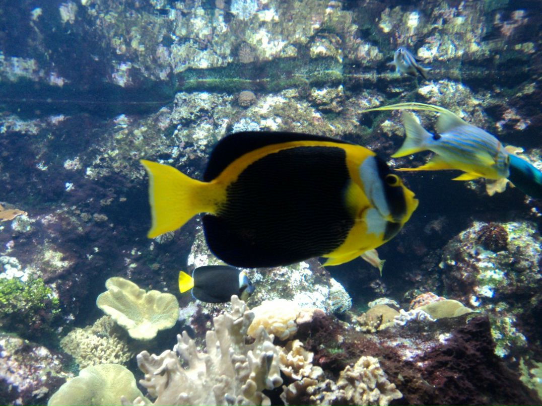 Инна Билоус | Одесса