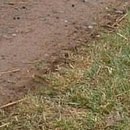 №140, Анжела Жужа, Евпатория №140, Анжела Жужа, Евпатория