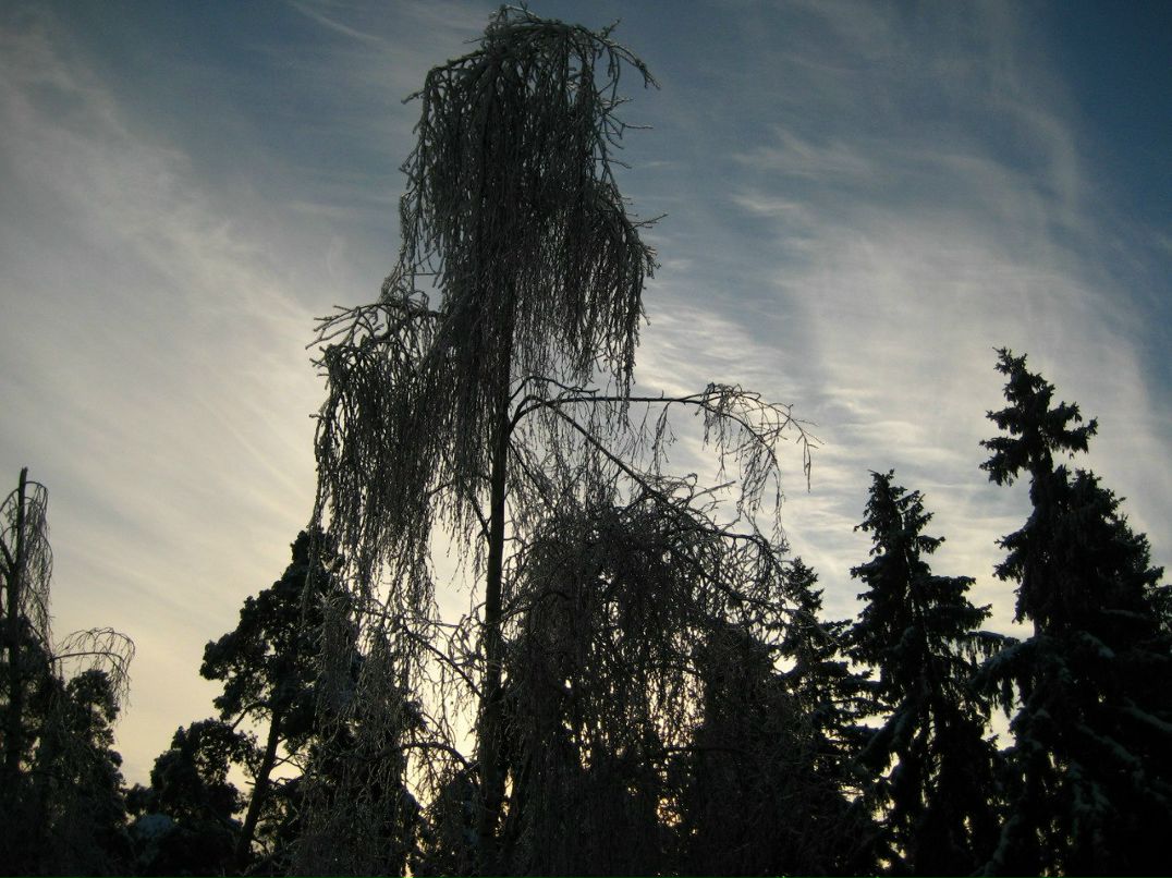 Василий Ермизин | Москва