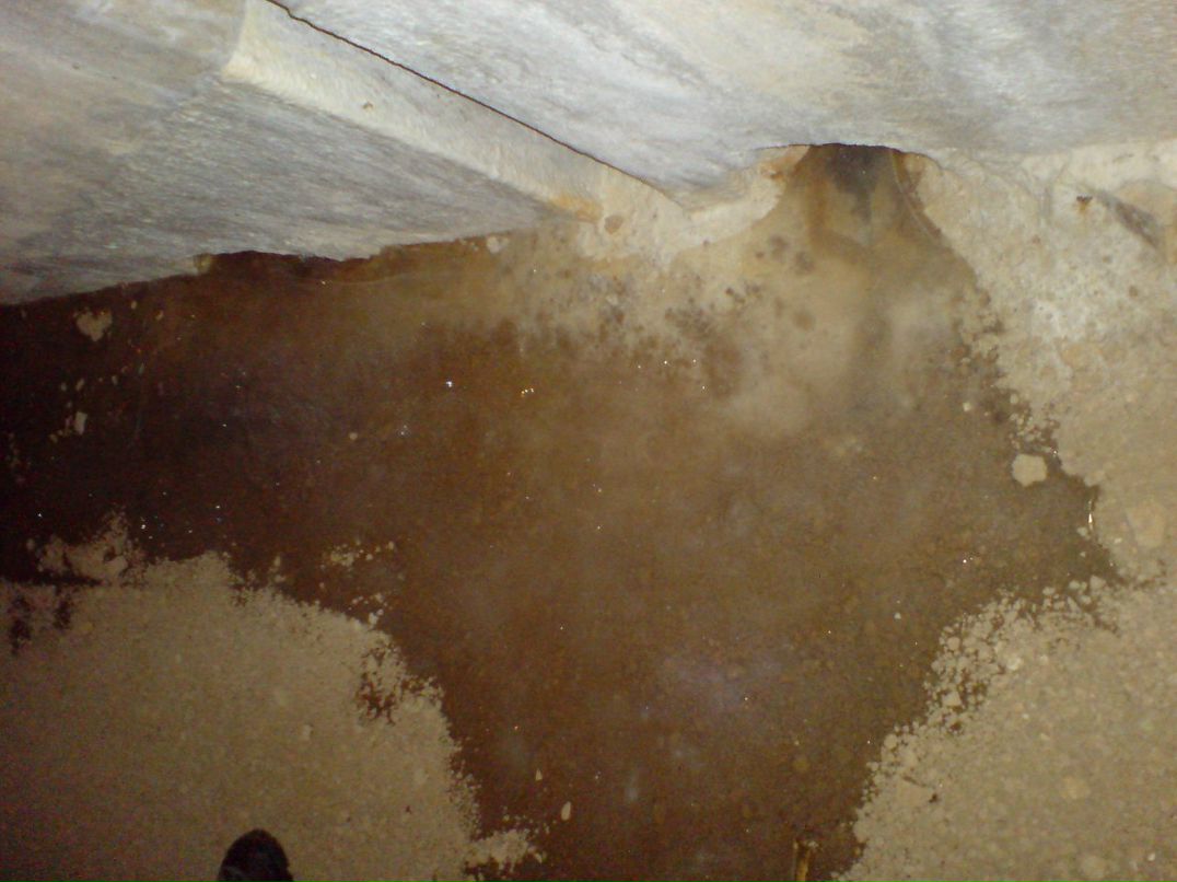 Павел Дерикьянц | Краснодар