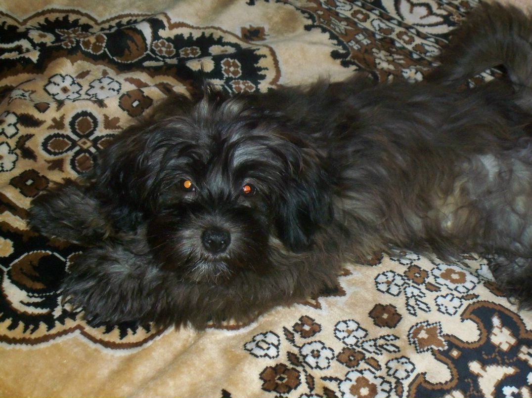 Оксана Ровенко | Бор