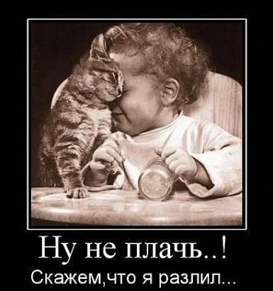 Павел Крупинкин | Ярославль