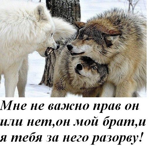 Юрий Юдин | Тольятти