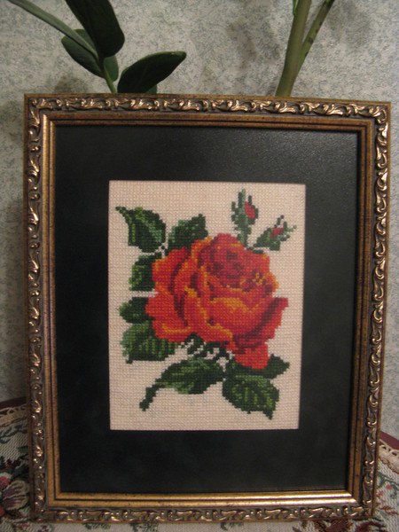 Анжелика Лукиянчук | 