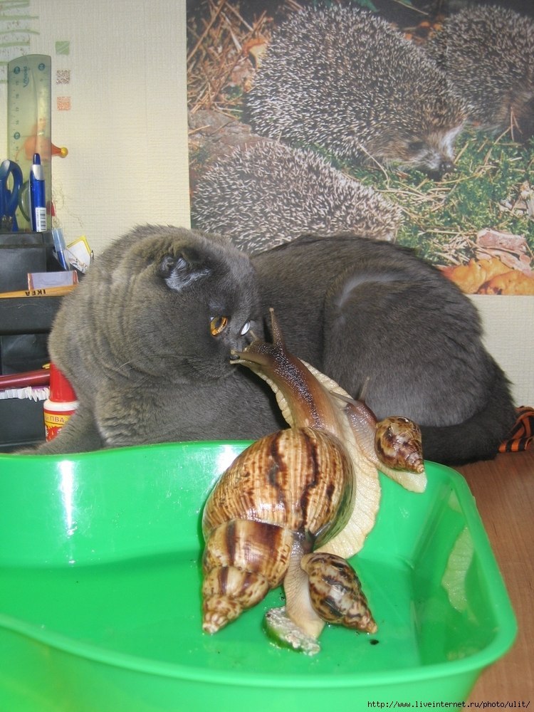 Виталик Посохов | Санкт-Петербург