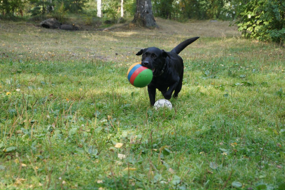 Юлия Попова | Екатеринбург