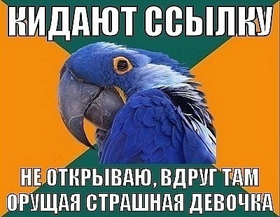 Павел Сапронов | Павловский Посад