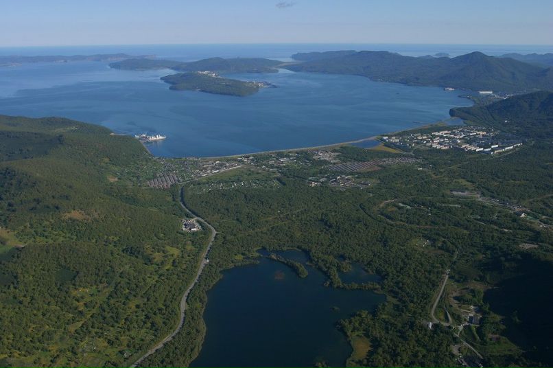 Николай Гвардейцев | 
