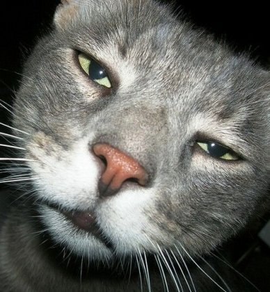 Ольга Михайлова Николаевна | Уфа