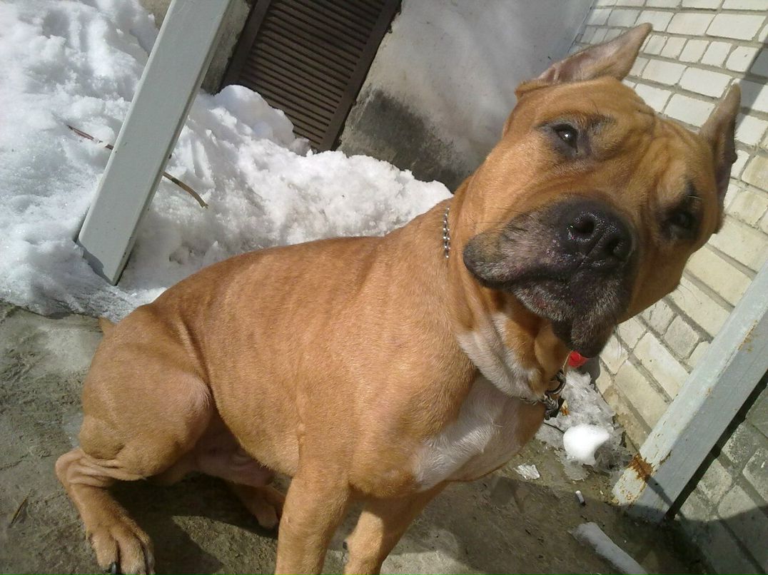 Юра Потапов | Сыктывкар