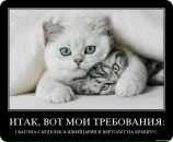 №40 Ирина Вайсеро 23.11: профиль, фото, статус - ВКонтакте №40 Ирина Вайсеро 23.11: профиль, фото, статус - ВКонтакте